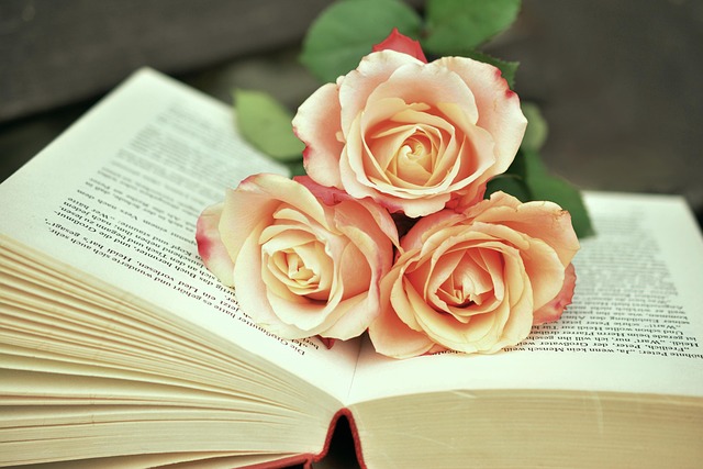 An open book with pink roses on it.