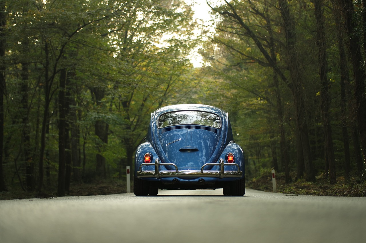 Blue Volkswagon on a country road, seen from behind.